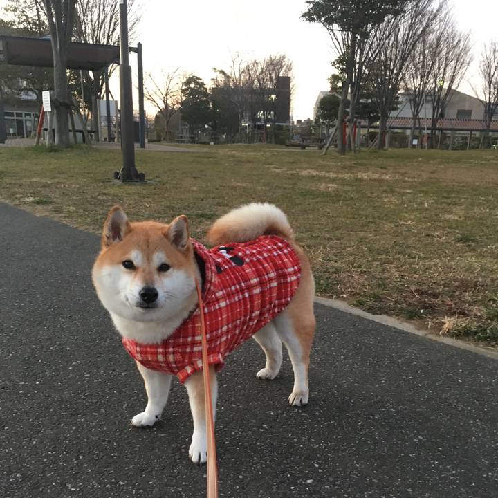 932fe8be 0e0d 4780 9019 5f14a4bd9307 1547800777543