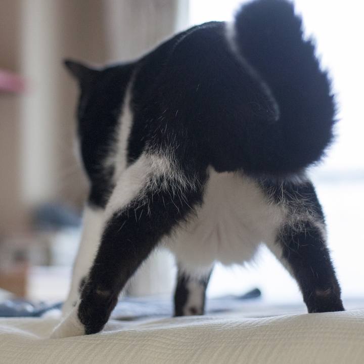 9330166f 99e7 40cc 8c39 50bada75e49d 1531218358872