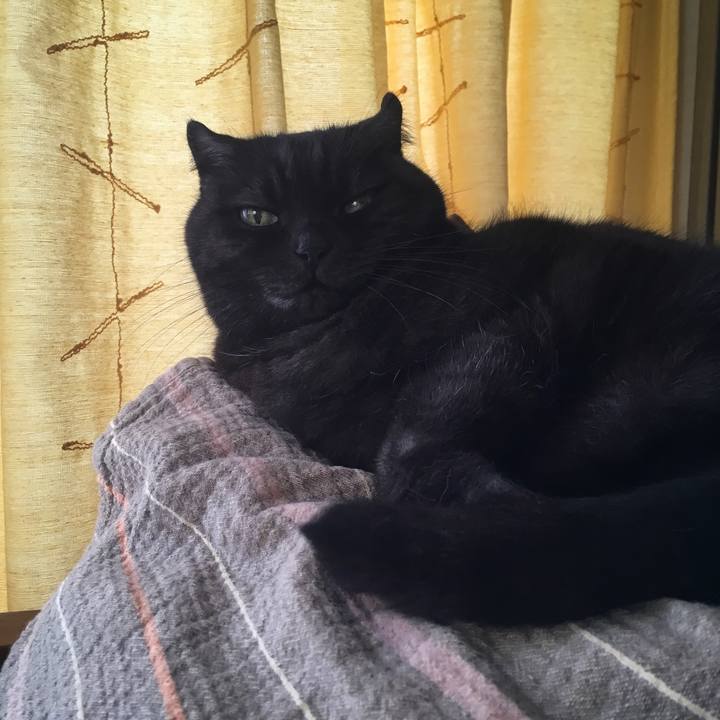 93302448 8ae3 4a33 929e e5525ca55c9b 1542505455256