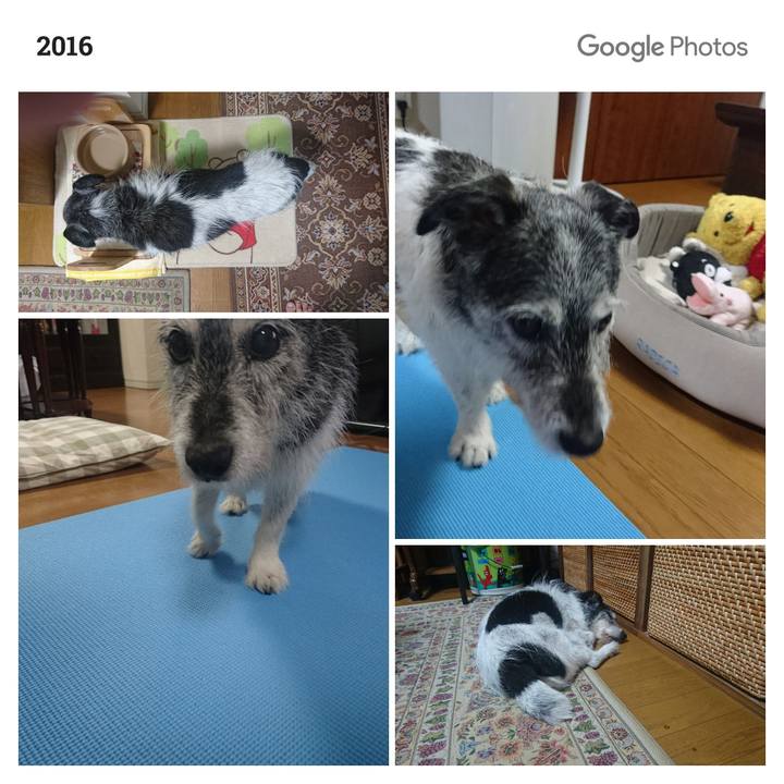 93303001 b258 421c 9091 b48825a37622 1568251066267