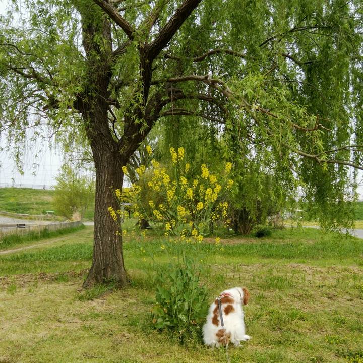 9330384c edcd 4af8 a904 0d00ac8c9973 1555804239396