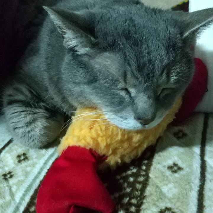 9330701a 8878 4bea bf8a 5beeb4da78f5 1679658869886