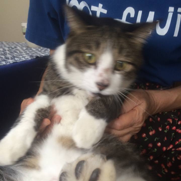 9330916e c43c 441f a3a9 7bc8889e5ade 1536040647558