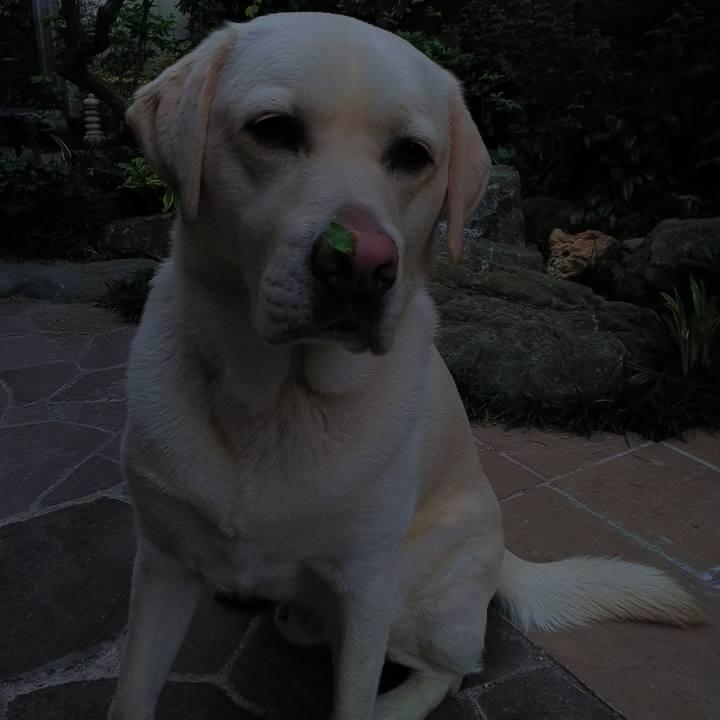 93309235 0697 4dcb 96f1 82cbe9553ca4 1557738103113