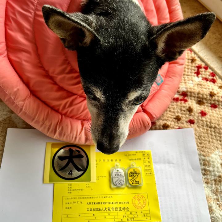 9330e6ca 9b51 4605 bb30 cf9021802d51 1653102528935