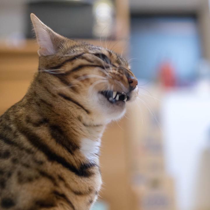 93311c3c 1b8d 4e93 9116 2633506218a0 1517762776409