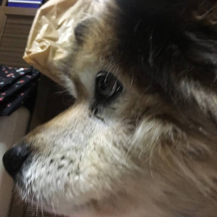 9331799b b75c 40ed 9a60 e67abf71b8a3 1637821193406