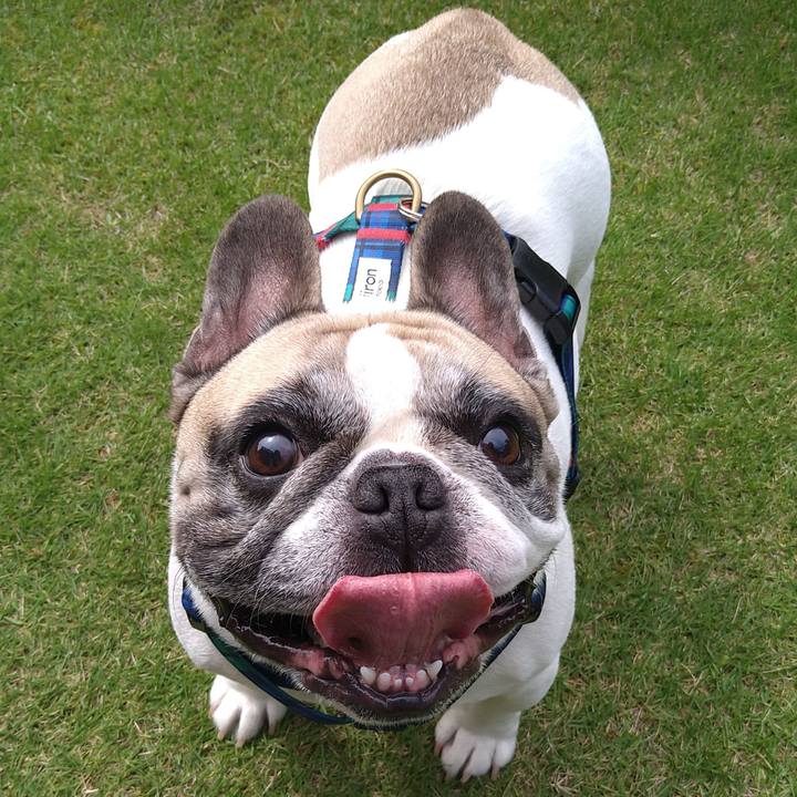 93318904 6e31 4b8c 9167 3ba84410766b 1772279498137