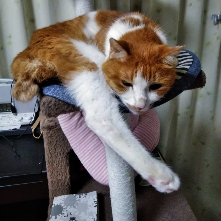 93318a58 83be 4b7a 852b 1cc000293ddb 1566651969761