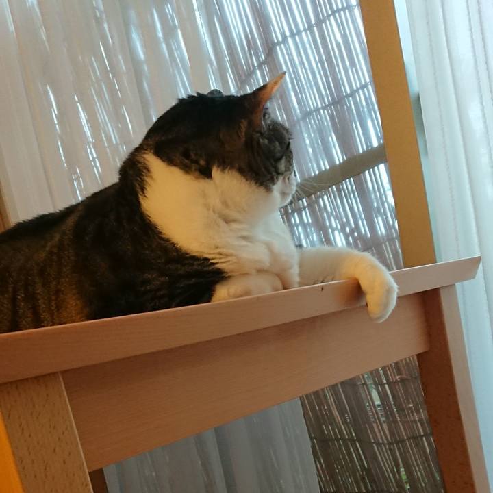 933191b7 f8bb 4e11 98f1 63dee3710650 1534398983345