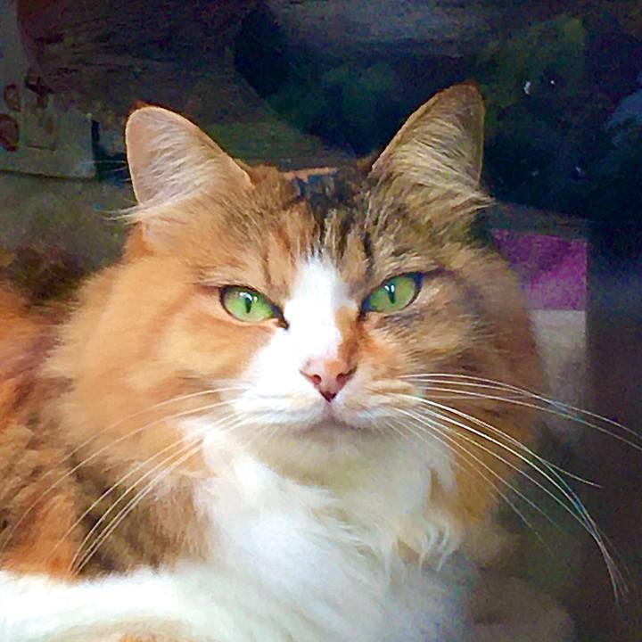 933198cf 01c2 4d80 ad7c 31f3f46c61cd 1605481751125