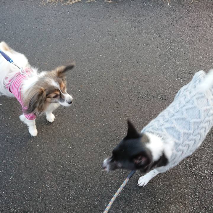 9331e09a 515a 48dd a36a bf675dd0eace 1545046588396