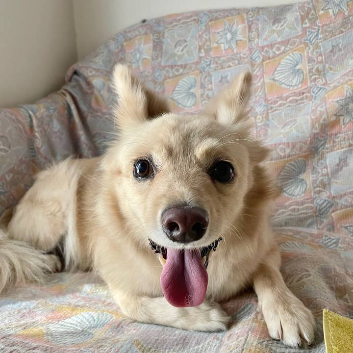 93320282 14ba 4e02 8c05 9cf774996391 1757980730701