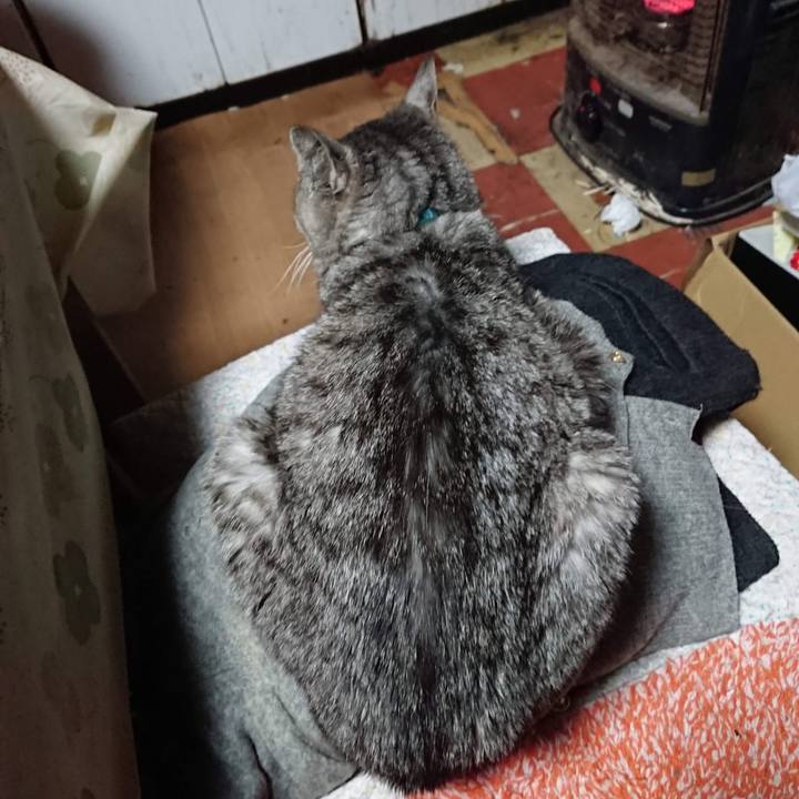 93321833 2d1d 4efe 8d39 7155af1d4fa8 1605556278673