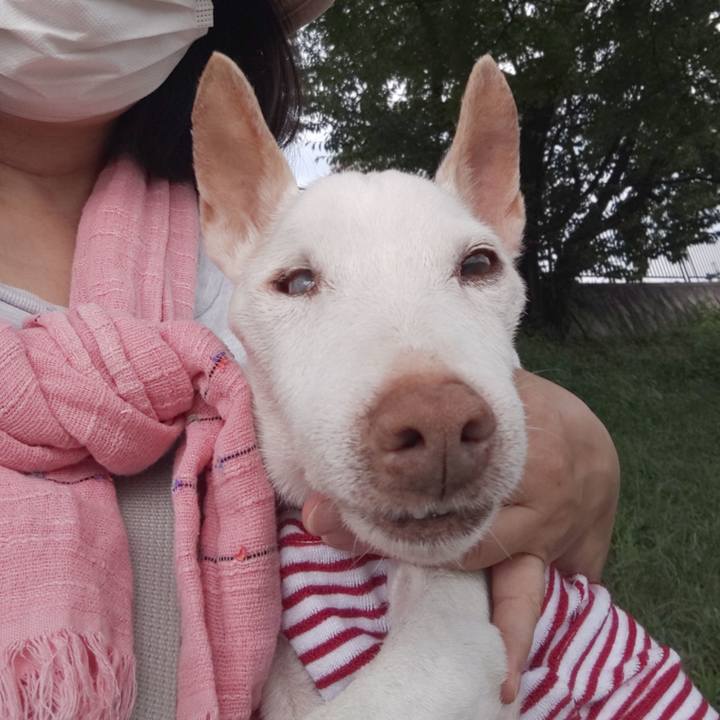 93321d93 7c8e 44e6 a262 76906dabc307 1599605832750