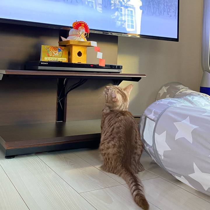 93322028 2209 41aa b848 44978cf191b6 1641682388986