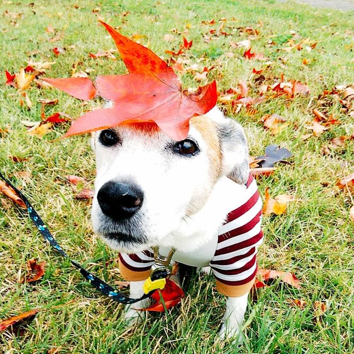 9332451d f24a 4336 a774 046c59f3a830 1572068033238