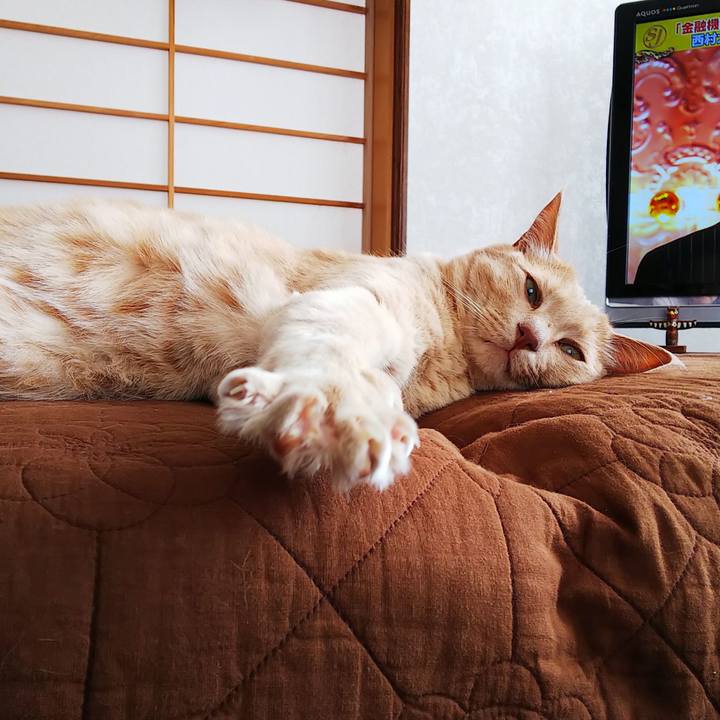 933261d5 0ecc 4821 ad24 4050f3fce69f 1625967178051