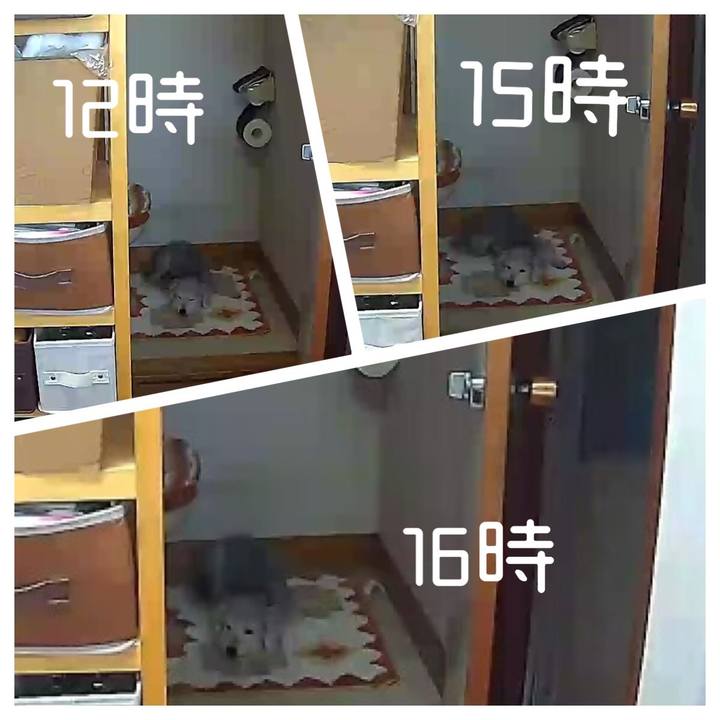 9332dd11 ab75 43db b54e 60d1724c1c03 1636018596850