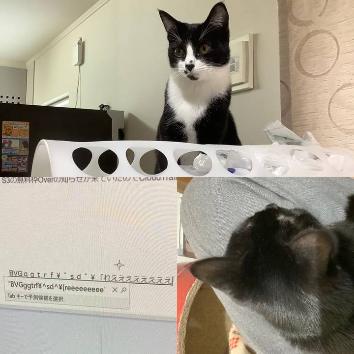 9332fa1a bf5d 4b56 b68c 8f8f95c16686 1586737620799