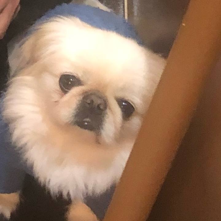 93330bc3 0d7c 4c87 936d dc6fd59ab2c6 1544706882942