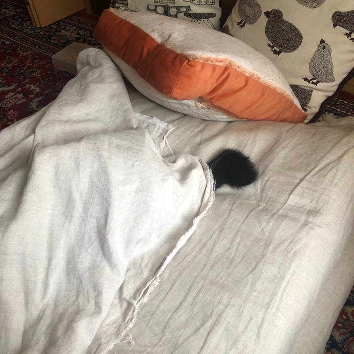 93331108 1c2d 4917 a5f4 04681aa4d6ee 1557351963923