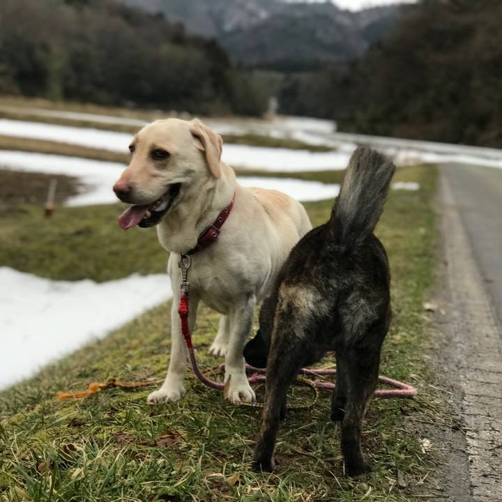 933325d4 002d 4e81 be5c 9e0157545298 1519430282106