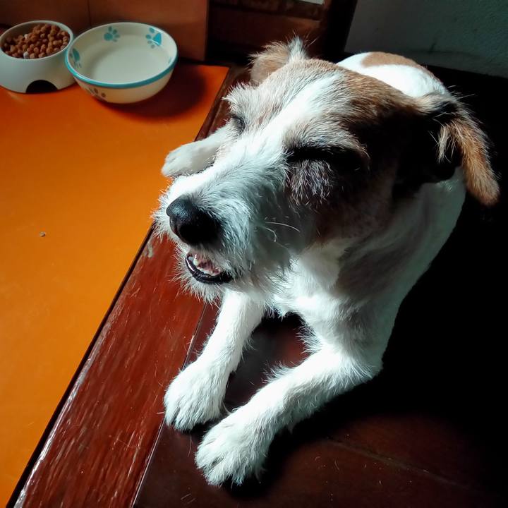 93334b62 626e 4808 8b69 3809f5060dd4 1545309684358