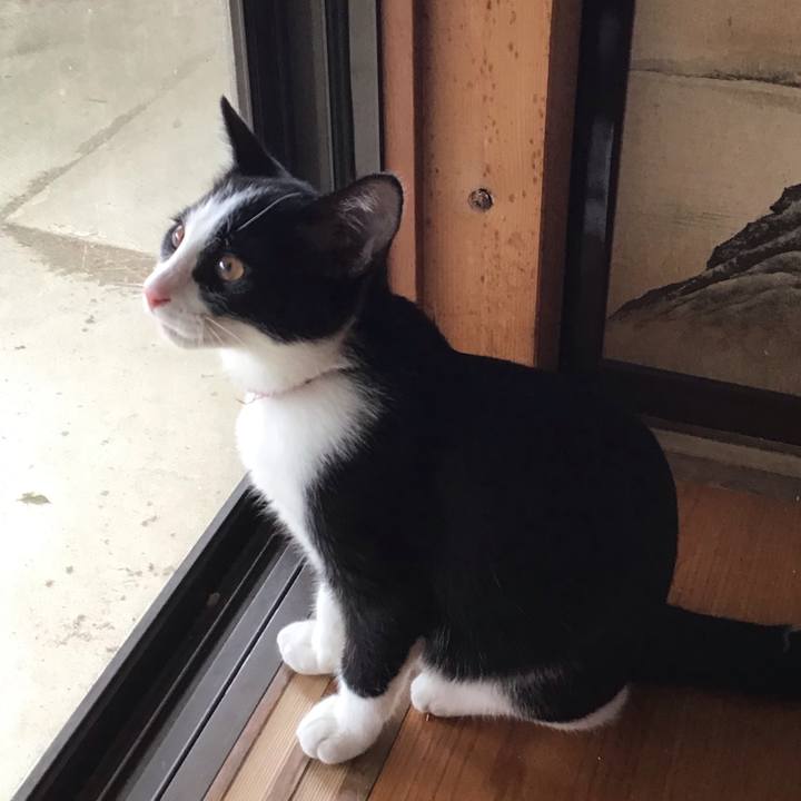 93335785 3aab 4b4b 9e07 ba4ec1eadbdc 1629264907571