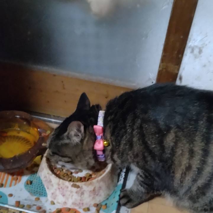 93335bb1 f8d2 499f a546 df3cf67bb387 1665039908688