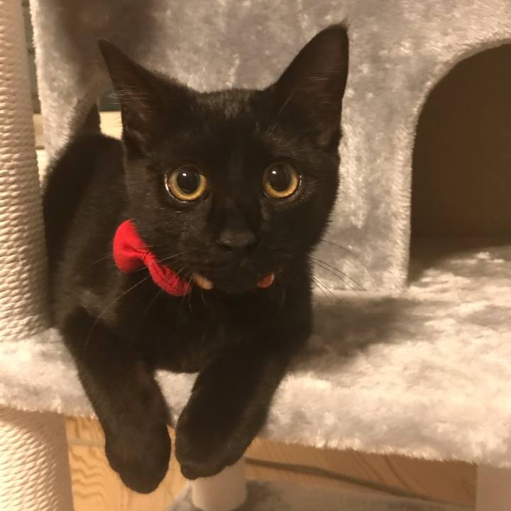 93335d59 b156 48cb a976 e0efda6f3023 1665446699608