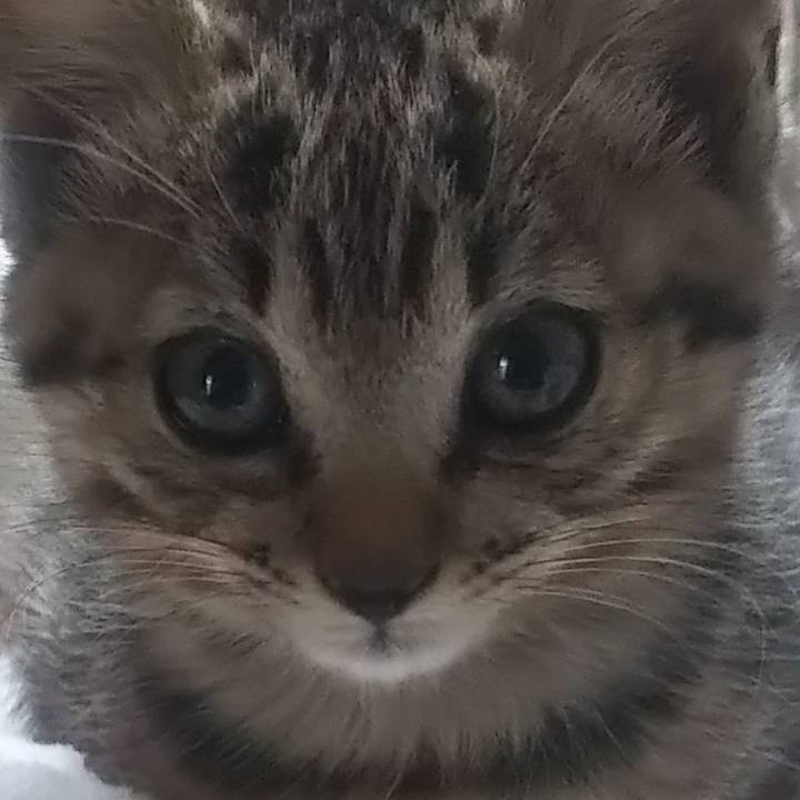 93336d89 bf0f 4f98 835c d7d17d31bce7 1641420381579