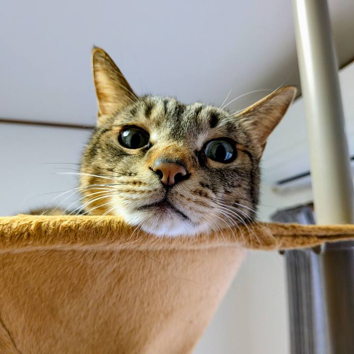 933388bf ba56 434e 9abf 40c8a9468c7f 1747443520198