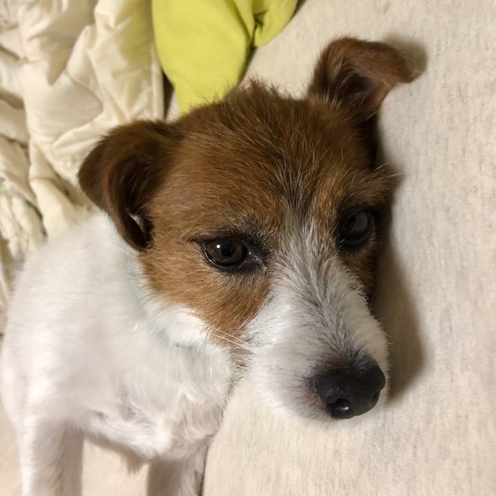 93339006 ef76 4cc9 9045 cdf89f865150 1559390734174