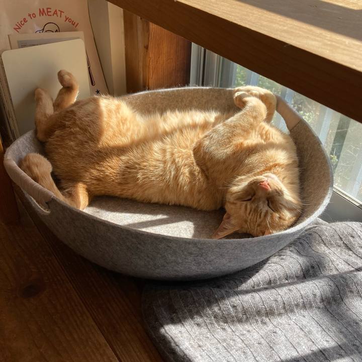 9333b540 0086 45f0 a531 bec2d30215a2 1710043044703