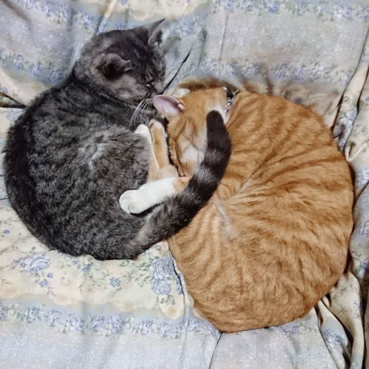 9333e43d 524b 4913 bc0c d6bbfbe87db2 1573134184838