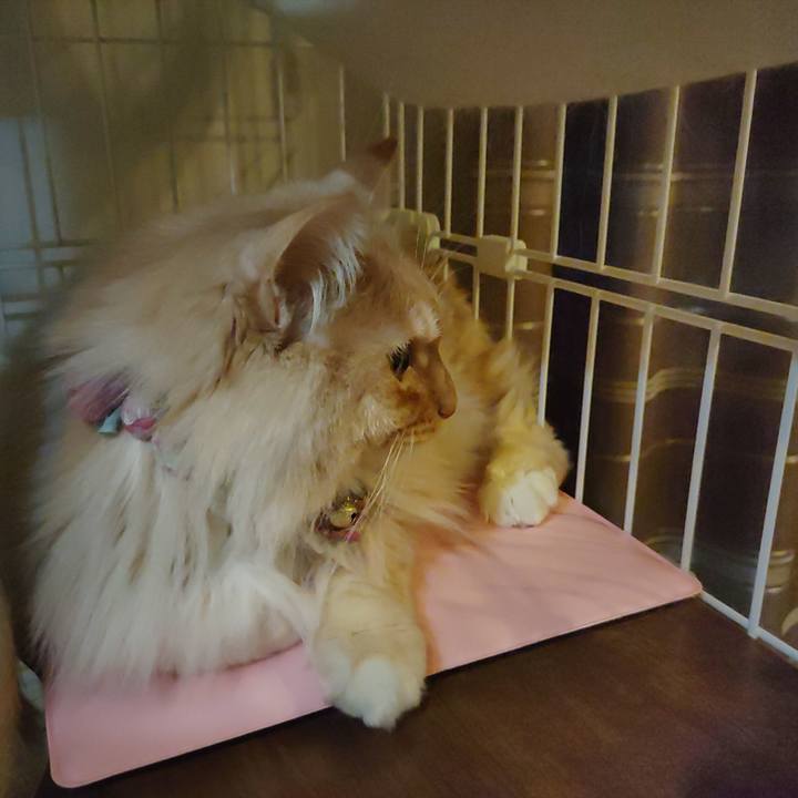 9333eb3b 27a2 4906 9fba 35c273e49445 1674989835189