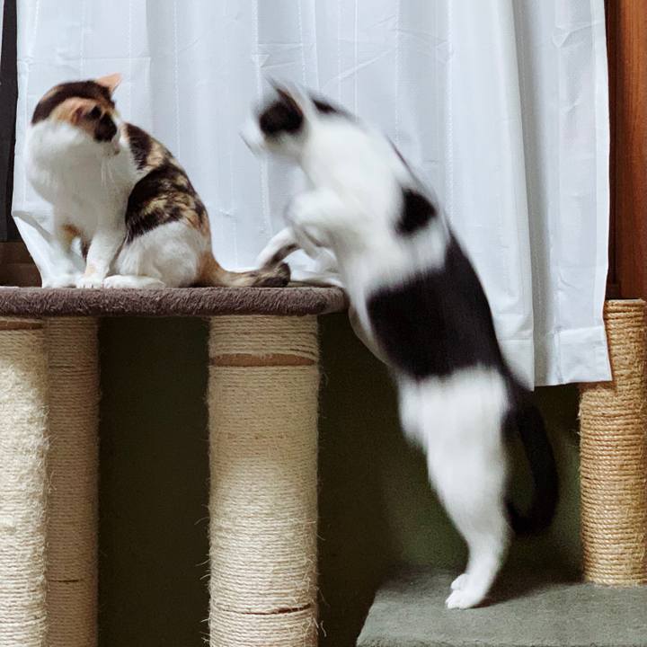 9333ece7 9f41 4b5a a35d 0c953231635b 1556760536362