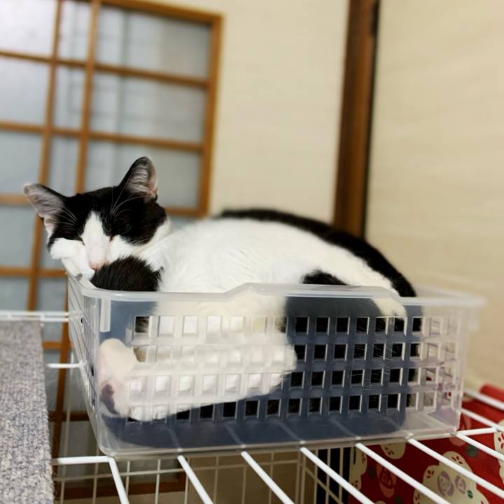 9333fc7d 2246 4dbb 82b8 fc22e72cdd99 1596764158427