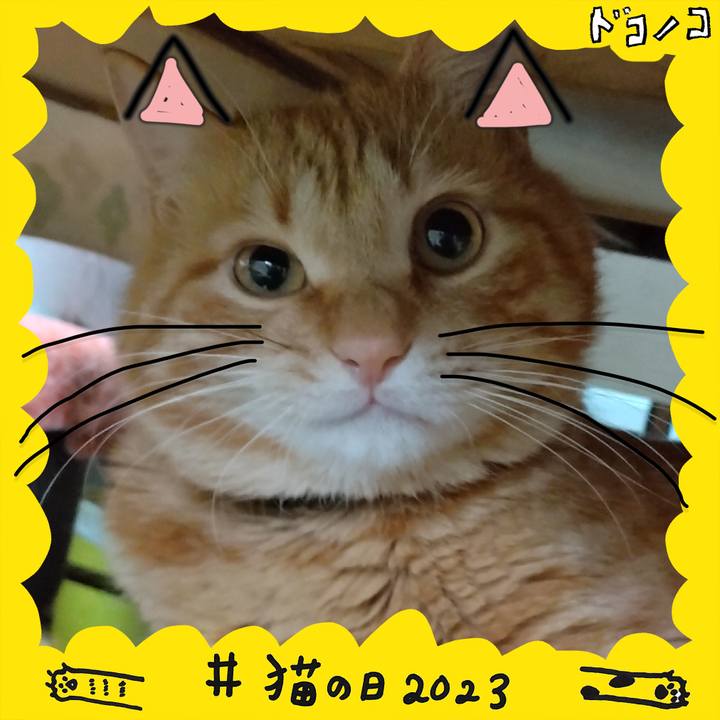 93342aba e17e 4b68 8865 6406765786be 1677017769328