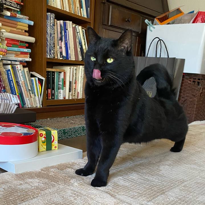 93342b76 f591 46ec 9cb6 24a1bab441d0 1673442178157