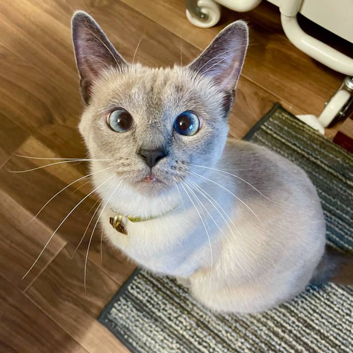 9334370c 629f 44cd 9171 4da4dc6c8120 1654514782566