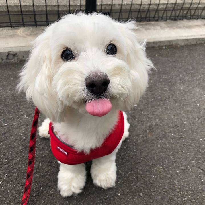 93343bc2 5814 4ab0 b771 7ca80127f79c 1529199477505