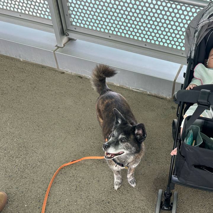 93344e36 578b 4088 992a 3a32f8d6a4c2 1715074192754