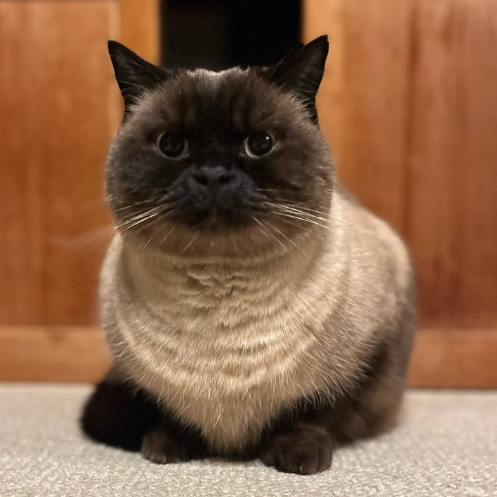 93345ebb d03d 4e1a 9b66 6118f292caac 1671450866310