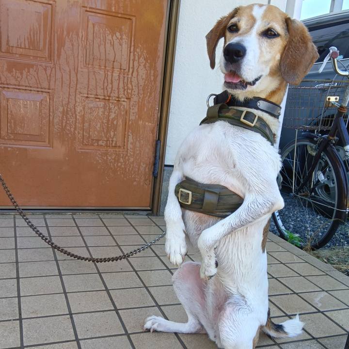 933472d3 e491 4771 9dad fb60bbd17d19 1720148737750