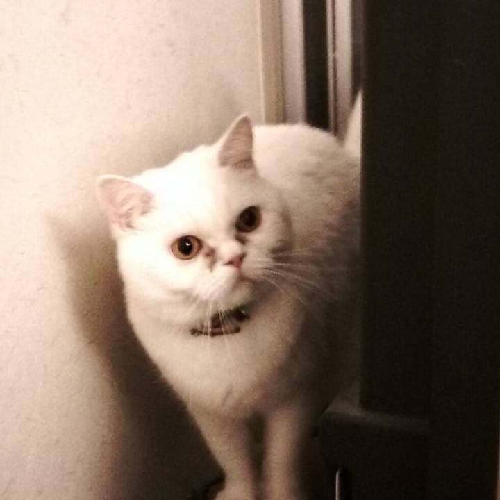 93348850 6f49 4ff2 a370 e2a4a323bee4 1512036541935