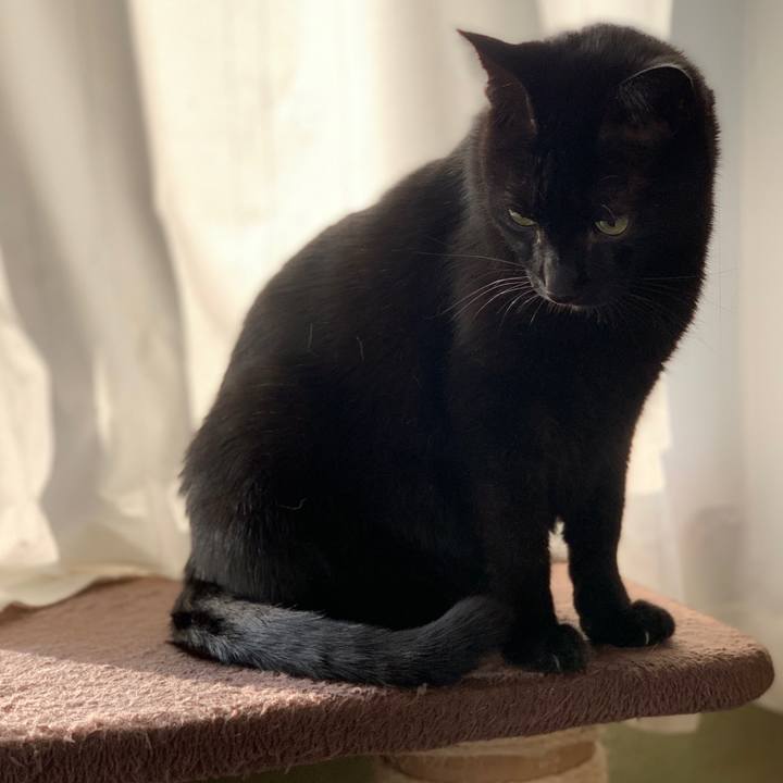 9334889b 1cb7 418d a2fc 368322ab2a44 1573866154417