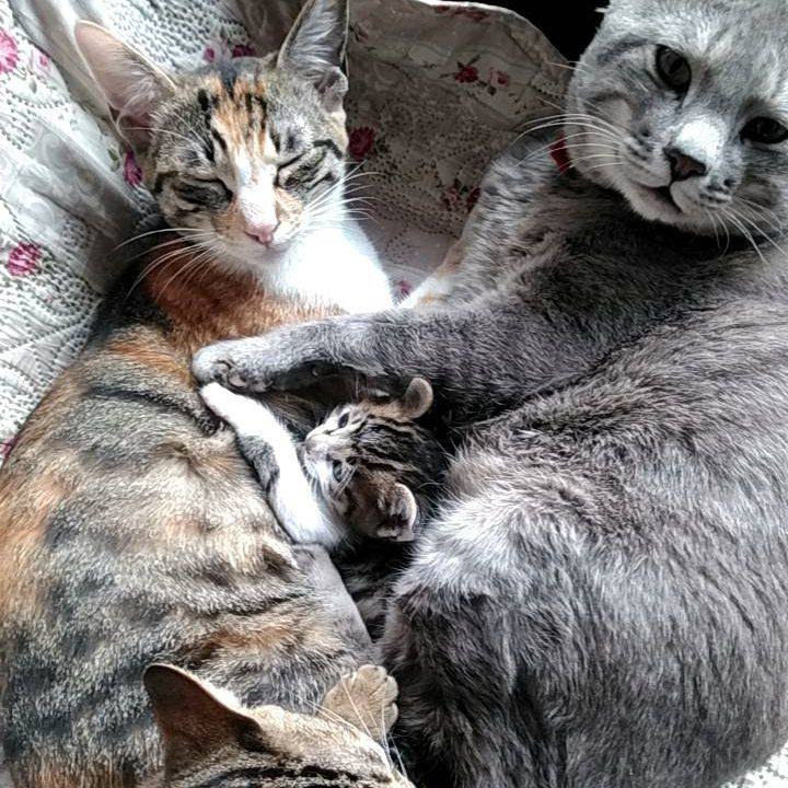 933488d6 3f4d 433e ab00 f0739004f170 1715351365059