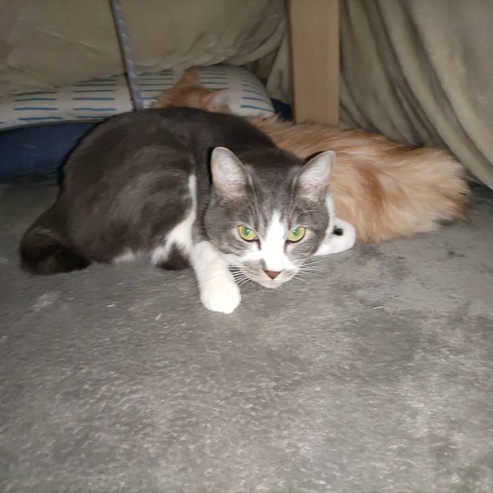 9334c560 8b6e 4455 81f4 79ad8a4694f1 1668501519712